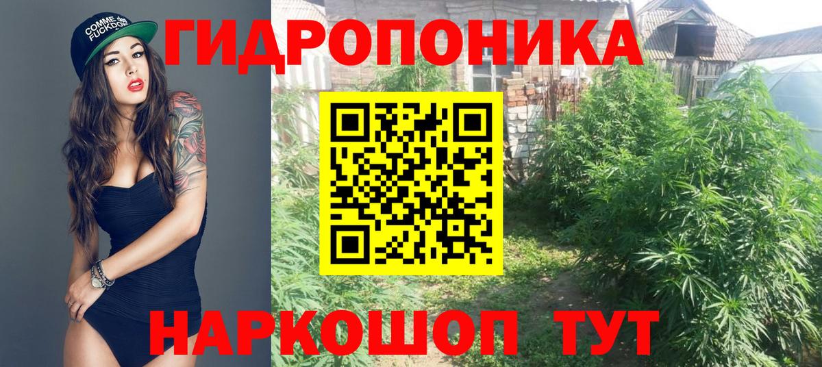 МАРИХУАНА ГИДРОПОН Ейск